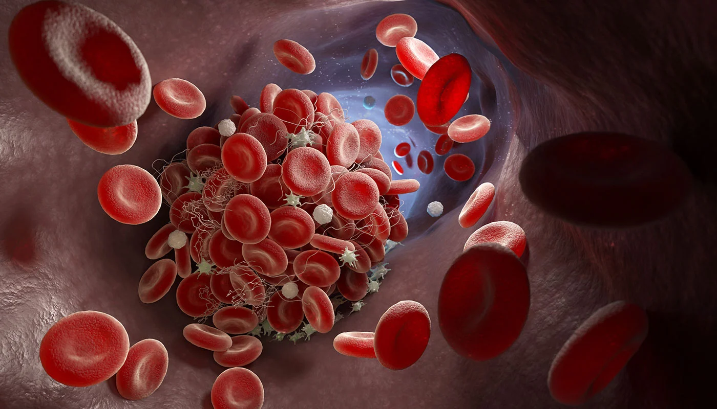 A microscopic view of platelets in the bloodstream.