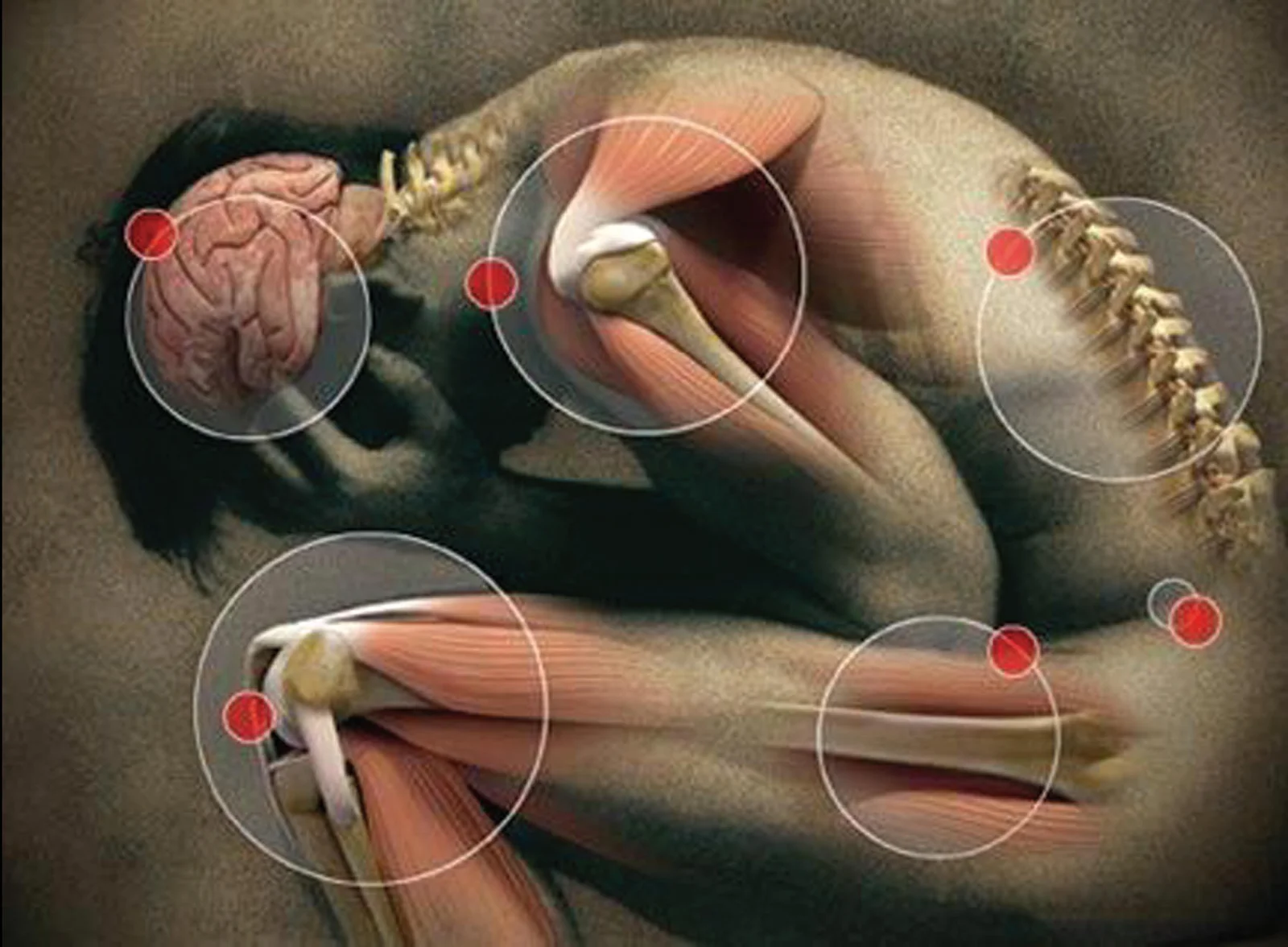 A side view of a person with all joints represented, highlighting the shoulder, elbow, wrist, hip, knee, and ankle joints.